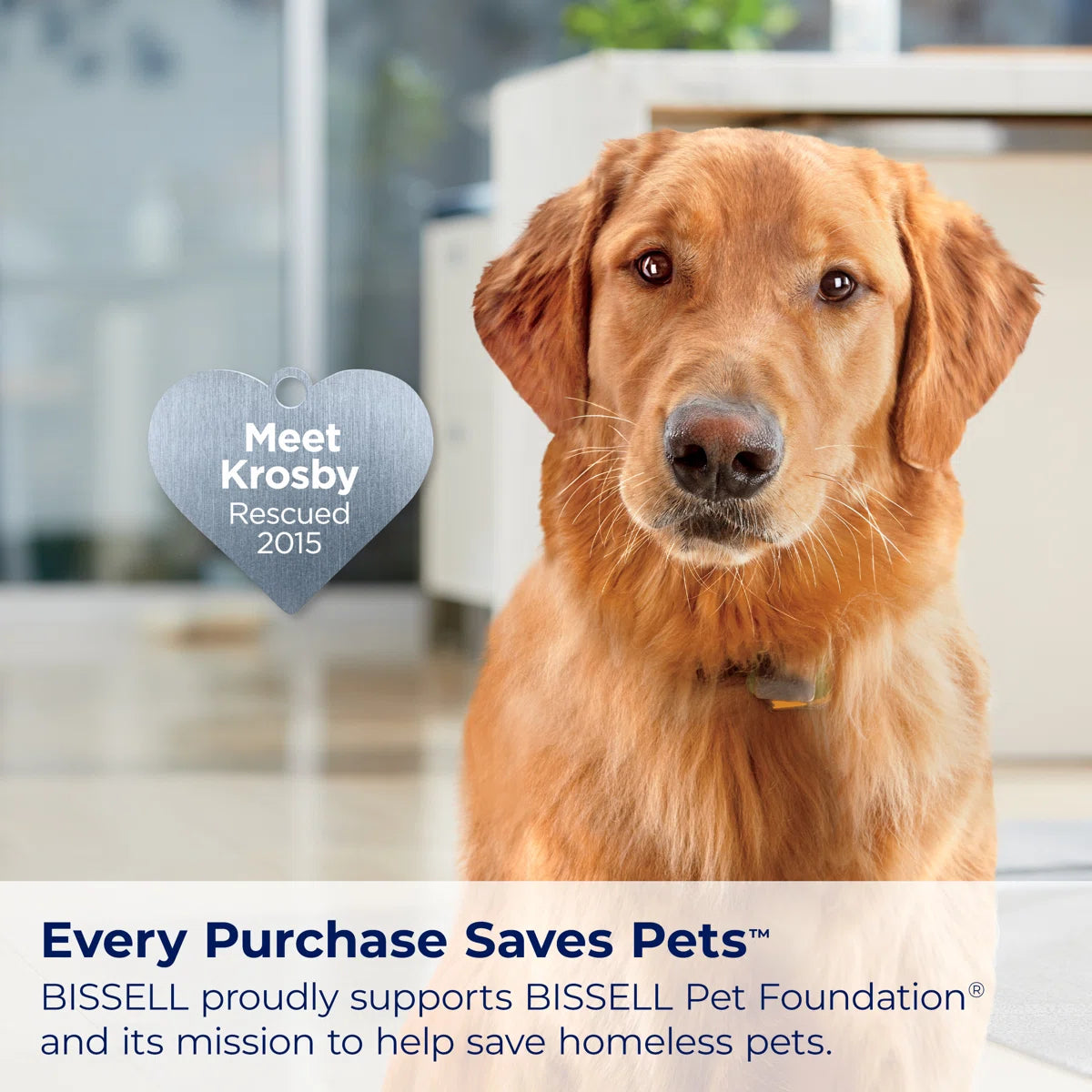 BISSEL ProHeat 2X Revolution Pet Pro Plus, Upright Deep Cleaner, Dual Dirt Lifter Powerbrush, Hose & Tool Attachment